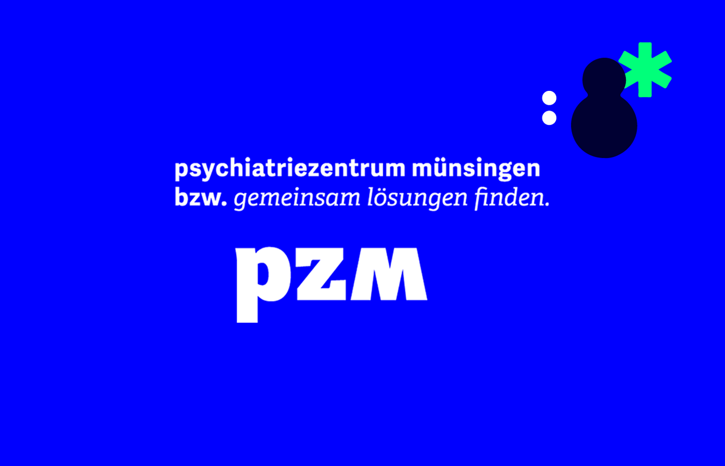 pzm_client_case_Overview