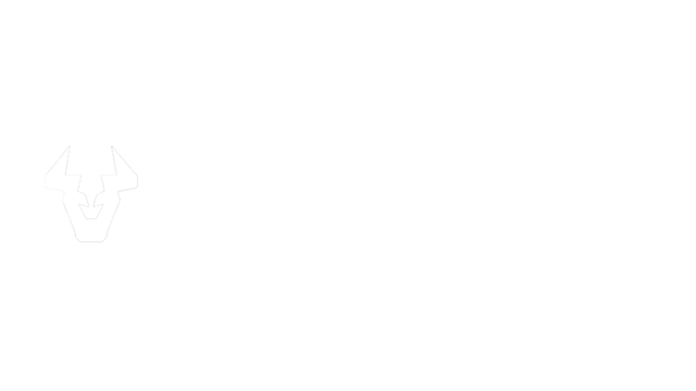 logo_BullWall_white_640x360